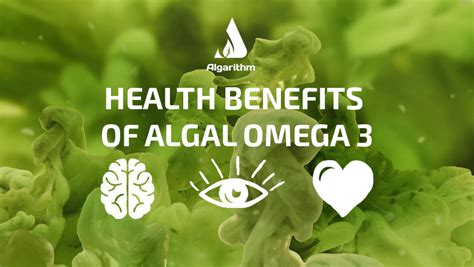 omega 3 algae oil benefits